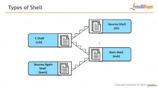 LM4   Lecture 1 – What Is Shell Scripting