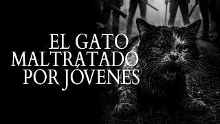 EL GATO MALTRATADO POR JÓVENES