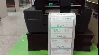 Security Sticker Printing serial numbers