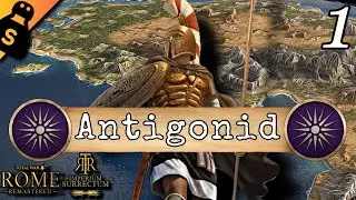 HEIR TO ALEXANDER'S LEGACY! Antigonid - RTR: Imperium Surrectum - Total War Rome Remastered - 1