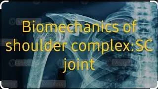 Biomechanics of shoulder complex: SCJoint