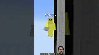 Minecraft Players Lose It When This Happens 😳 | Funny #Shorts