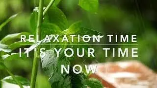 Relaxing Rain Music
