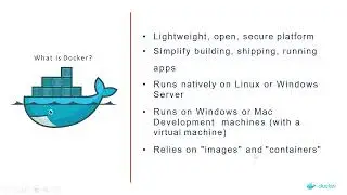 Mastering Docker Basics: Unleash the Power of Containerization!