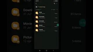 Didn't Show All File In File Manager Samsung