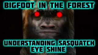 BIGFOOT IN THE FOREST - EYE SHINE