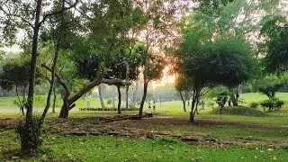 UNDERRATED GARDEN OF COLABA | SAGAR UPVAN GARDEN 🏡