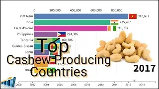 Top Cashew Producing Countries In The World