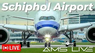 LIVE: Departures & Arrivals at Amsterdam Schiphol Airport | Oct 31, 2025