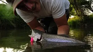Topwater-Productions: Alive