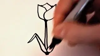 How to Draw a Cartoon Tulip