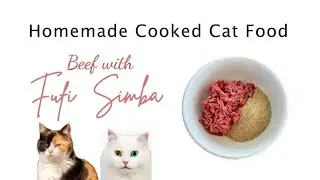 Homemade Cooked Cat Food - Delicious Beef with Futi Simba ☺️❤️