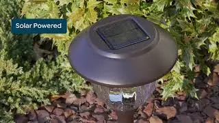 Eveready Solar Pathway Lights  10pack