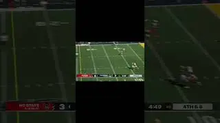 Nice Catch by Justin Joly