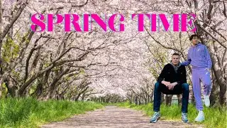 Spring time | Cherry Blossom Tree 🌸