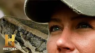 Python Hotspot Has BIZARRE History | Swamp People: Serpent Invasion (S4)
