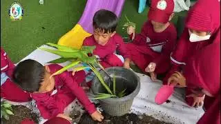Kegiatan Gerakan 1 Juta Pohon: Langkah kecil menuju lingkungan yang sehat