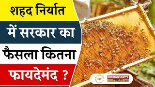शहद निर्यात में सरकार का फैसला कितना फायदेमंद ? #Honeyexport #honeybusiness #exportpolicy