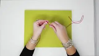 Dodo Tutorial e Spedizione Gratuita