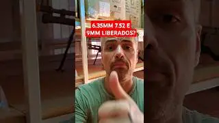 6.35MM, 7.62 E 9MM EST&Atilde;O LIBERADOS?