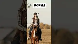 Horse Whispers #horse #barrelracing #country #countrygirl