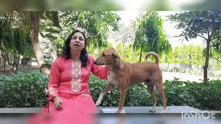 Raga Pilu | Sunita Gangrade