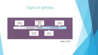 Semantic Feature Analysis - Aphasia Treatment