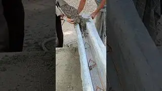 readymade cement pole making process #shorts