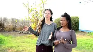 מדרשת נוב - תשע