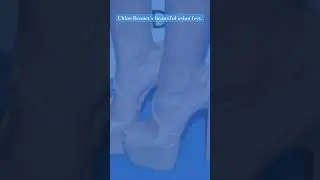 Chloe Bennet&rsquo;s beautiful Asian feet. #cutetoesverified