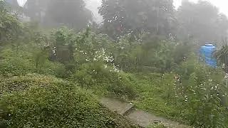 Darjeeling ichhagaon.