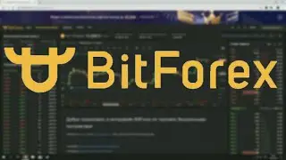 BitForex - сайт, который мы заслужили. Регистрация на BitForex