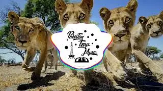 Bilal Music - Sher (Pakistani Trap Music)