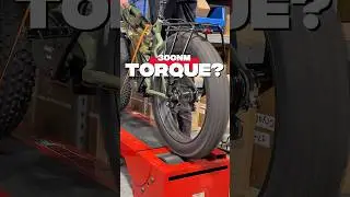 300Nm of torque on a fat e-bike? #fatbike #ebike #emtb #overland