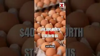 Thieves Steal $40,000 Worth of Eggs in Pennsylvania, US | NewsX