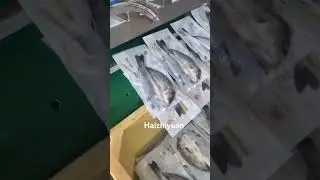 Fish vacuum packing machine