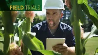 Risk Assessment and Management of GM Crops