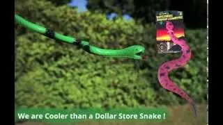 Bendy Snake by Toysmith