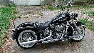 2002 Harley Davidson Heritage Softail FLSTCI gorgeous walk around and start up with engine sound HD