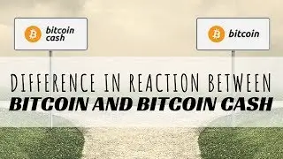 Difference in Reaction Between Bitcoin and Bitcoin Cash