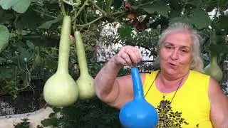 Su kabağı ile neler yapılır?