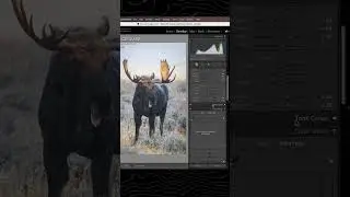 Don't use the contrast slider in photography... Here's Why!