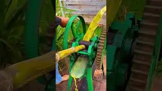 Sugar cane juice extraction process