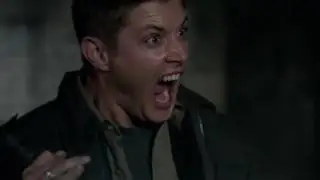 Dean is scared of a cat HD Yellow Fever