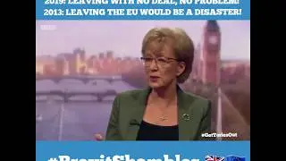 Andrea Leadsom   2019: Leaving with #NoDeal, no problem!  2013: Leaving the #EU would be a DISASTER