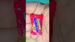 Mentos ASMR Craze: Viral Candy Reveal Madness | Daily Vlog#251 #mychannel #love #asmr #food #sweet