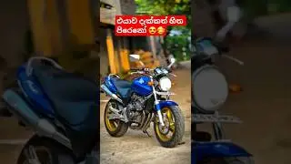ගොඩක් කොල්ලොන්ගෙ හීනයක් 🥰 #rider #hornet250 #motorbike #automobile #bikevideo #slbikes #vehicles #sl