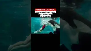 Captive Orca gets revenge and bites trainer