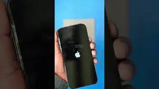 iPhone 12 Pro Max gx display change asmr