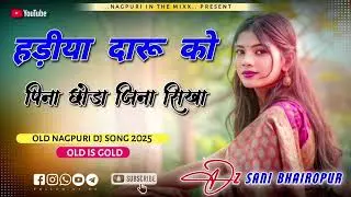 Hadiya daru ko pina chhoda jina sikha_old nagpuri dj song 🎵2025_26//new nagpuri 🌿DJ song